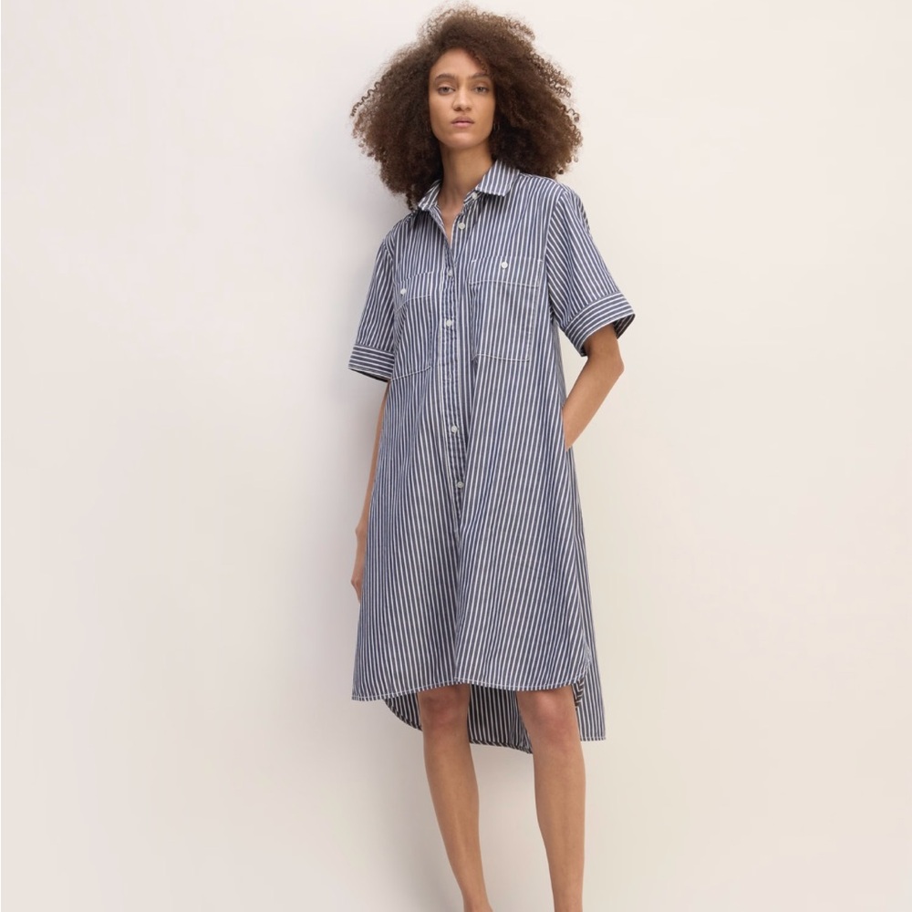 Everlane Day Tripper Striped Blue Shirt Dress Large
